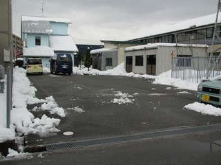 雪よりも困り者。