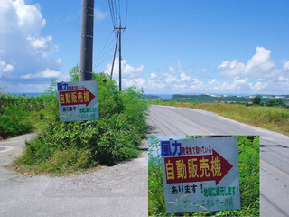 沖縄限定:カレーと自動販売機