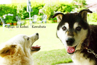 ごきげん！ 2008/07/09 12:24:18