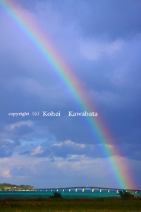 ミラコー！ 2011/01/20 10:18:21