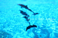 快晴。 2008/05/09 14:13:05