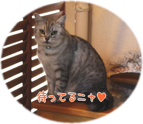 シーサーガーデン(3) 【地図編②】