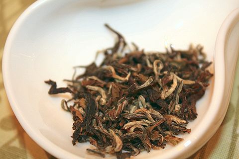 新春の茶会(1)