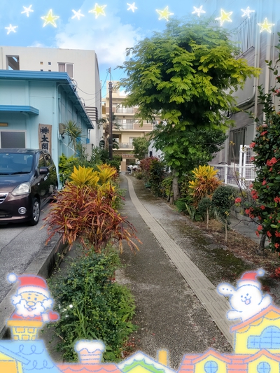 秋の落ち葉 秋の落ち葉