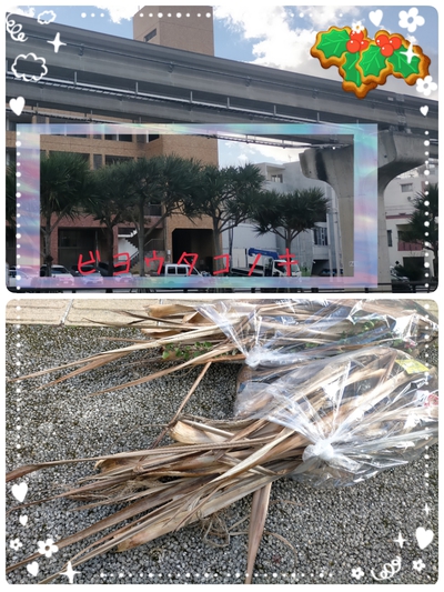 秋の落ち葉 秋の落ち葉