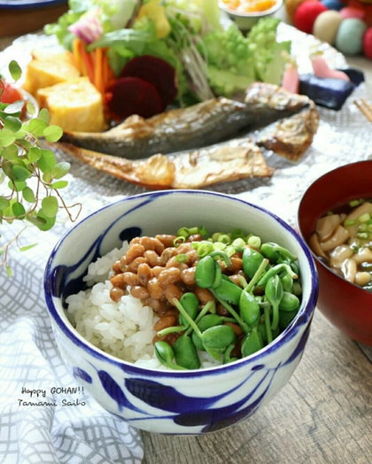 大豆若葉と柑橘の休日彩り朝ごはん 大豆若葉と柑橘の休日彩り朝ごはん