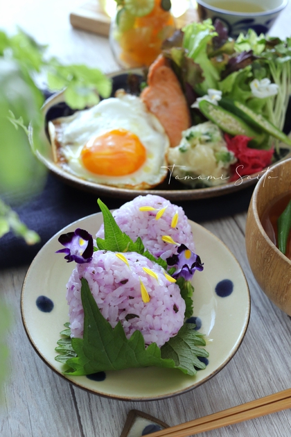 鮮やか赤紫色のごはんは沖縄野菜のハンダマで! 鮮やか赤紫色のごはんは沖縄野菜のハンダマで!