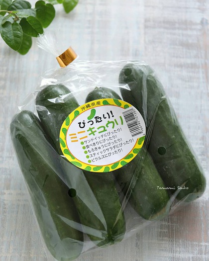 八重瀬町の野菜でわんぱくサンド 八重瀬町の野菜でわんぱくサンド