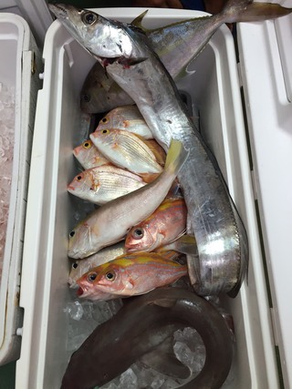 深海魚 深海魚