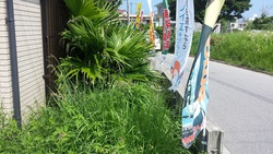 草、刈るぜ! 草、刈るぜ!