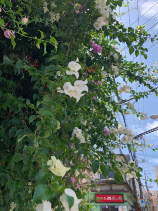ツールのひとつ ツールのひとつ