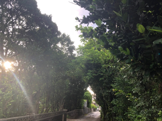 贅沢な時間 贅沢な時間