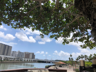 晴れたねぇ 晴れたねぇ