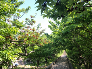 いつもの景色も いつもの景色も