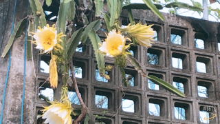愛しさと切なさ 愛しさと切なさ
