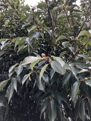 感謝 感謝