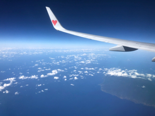 大切な想い 大切な想い