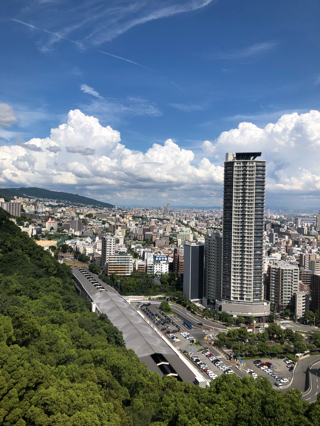 最高❗️ 最高❗️