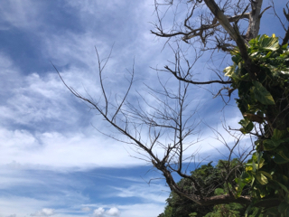 大切な 大切な