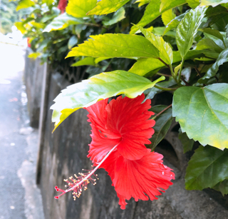 愛しさと切なさ 愛しさと切なさ