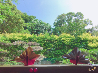 こんな近くに こんな近くに