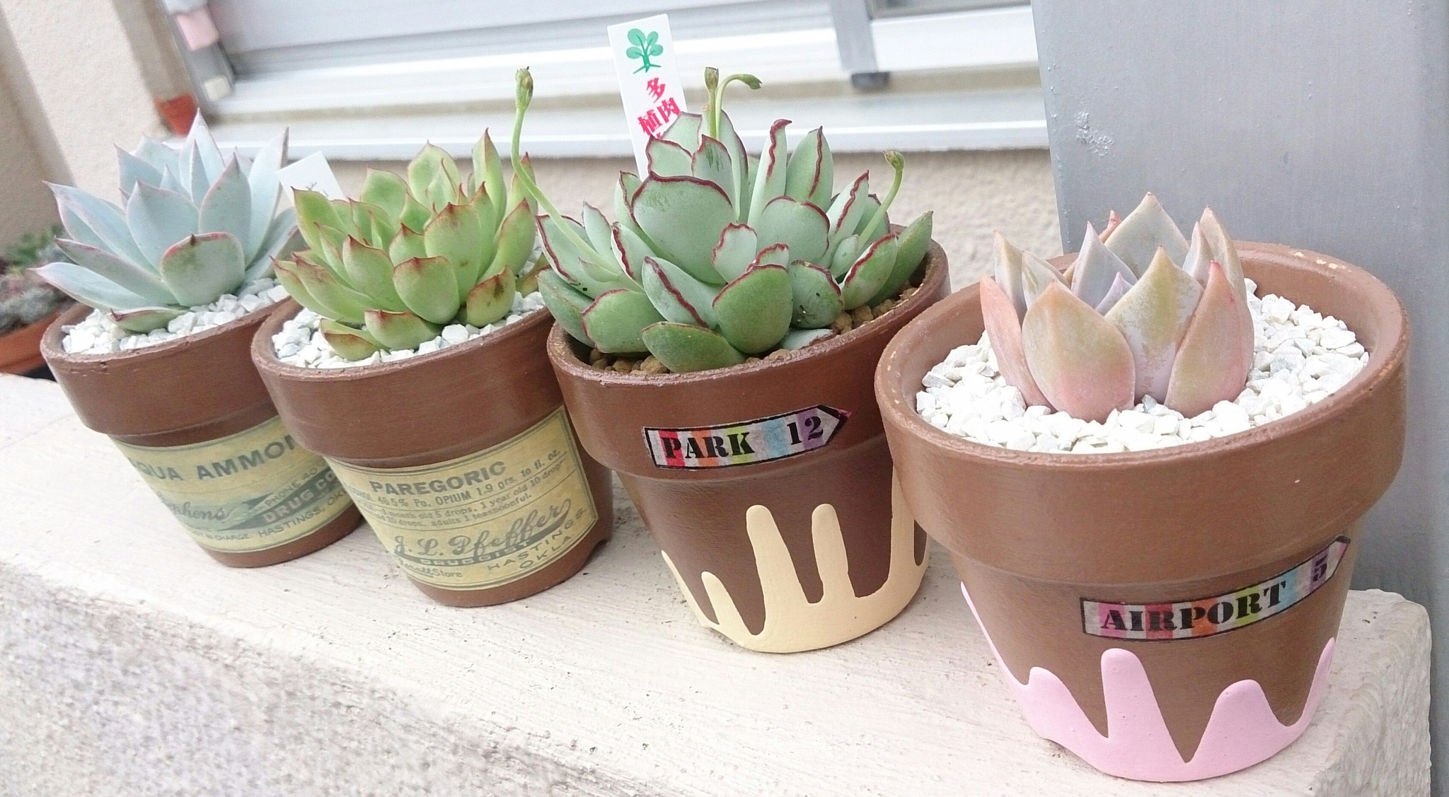 春の植替え祭り(^^♪ パートⅢ 春の植替え祭り(^^♪ パートⅢ