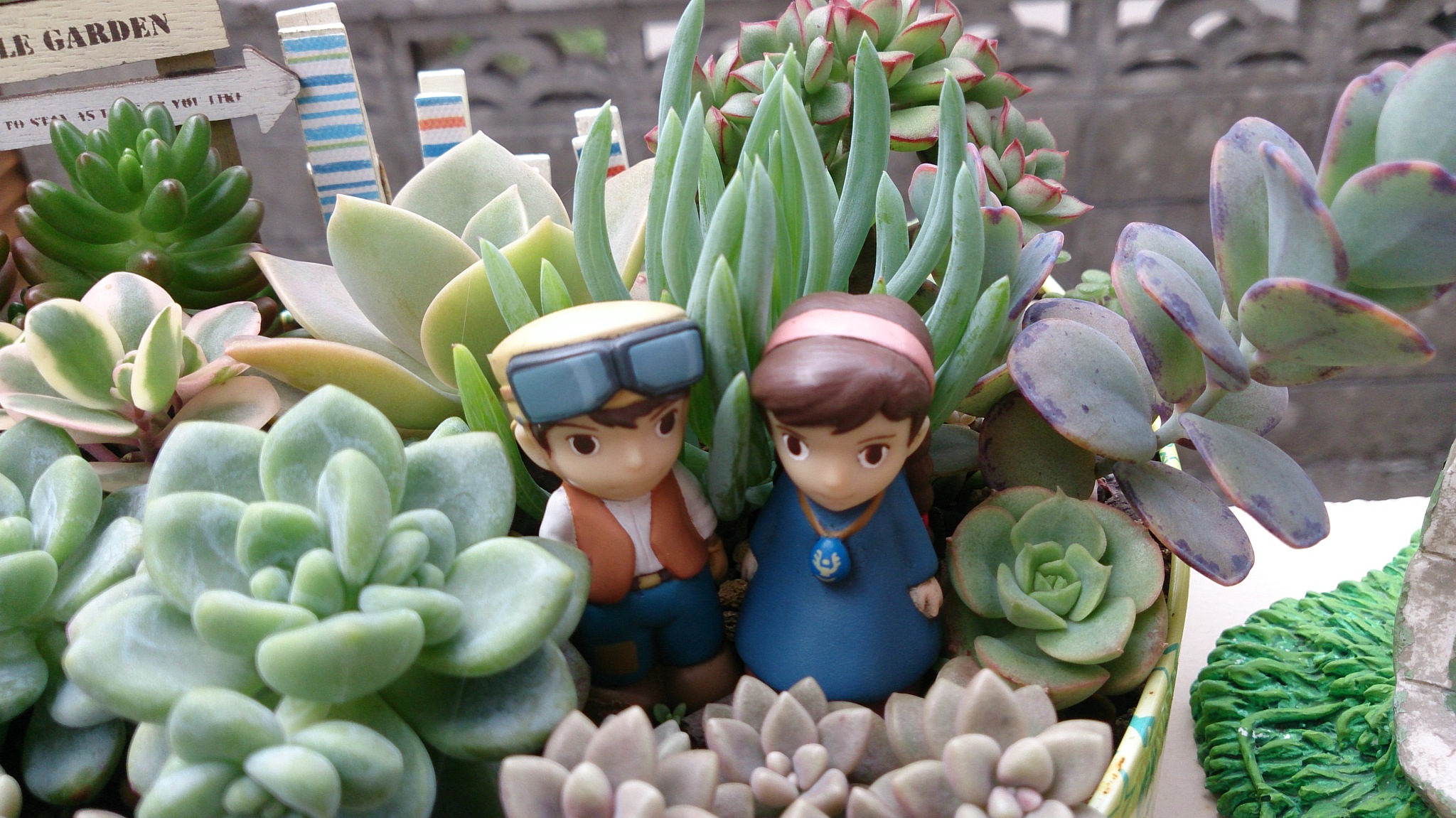 春の植替え祭り(^^♪ 春の植替え祭り(^^♪