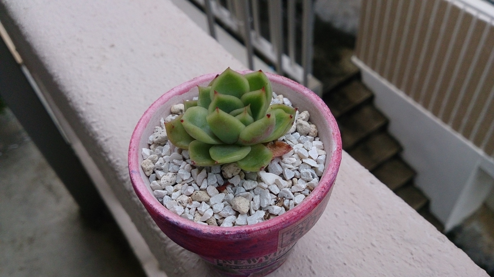 梅雨だからといって… 梅雨だからといって…