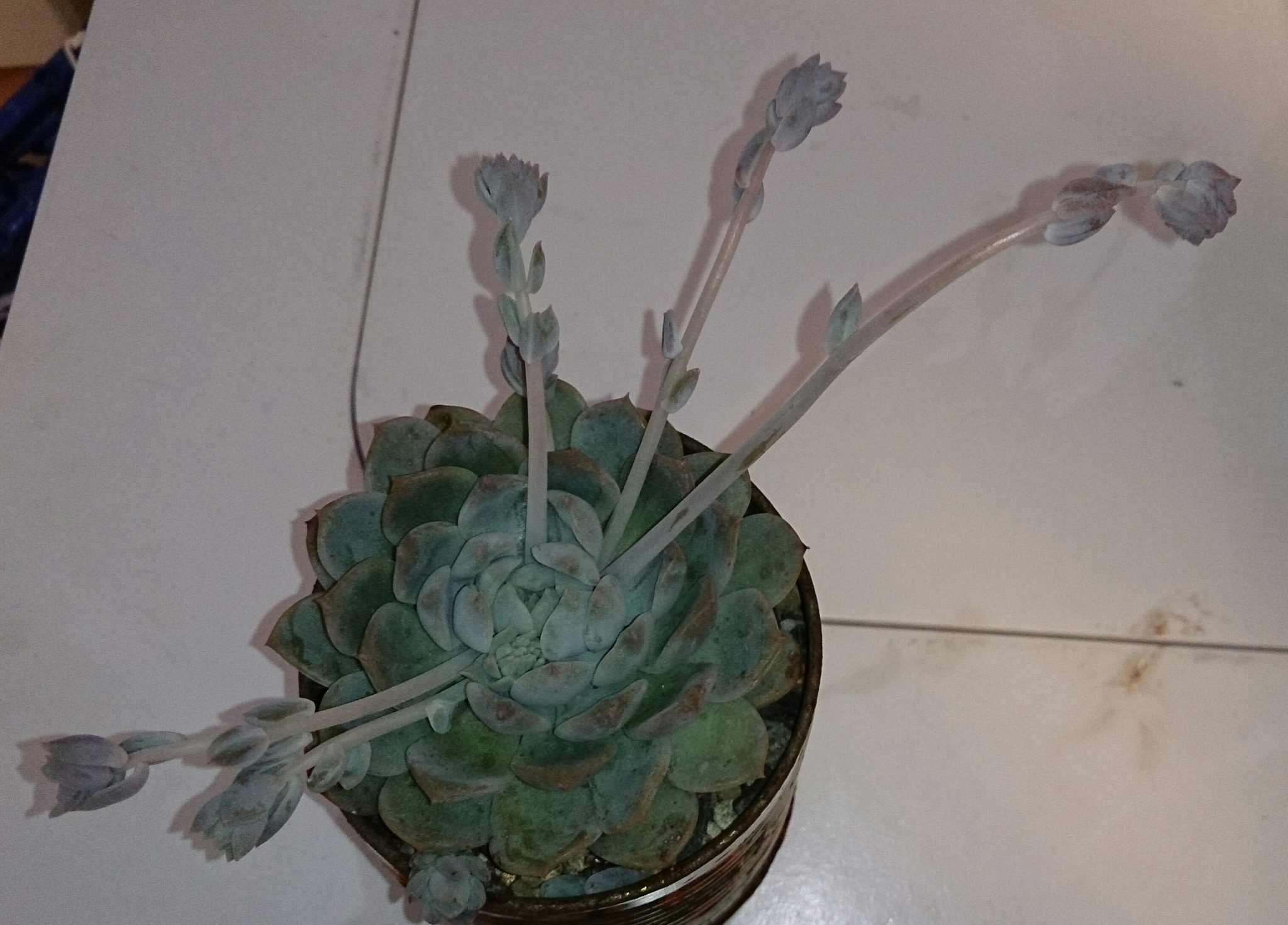 最近ブログ手抜き(*_*; 最近ブログ手抜き(*_*;