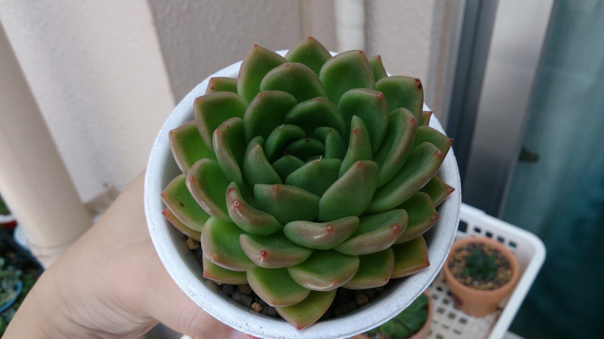 みんな頑張ってね(ω)ノ みんな頑張ってね(ω)ノ