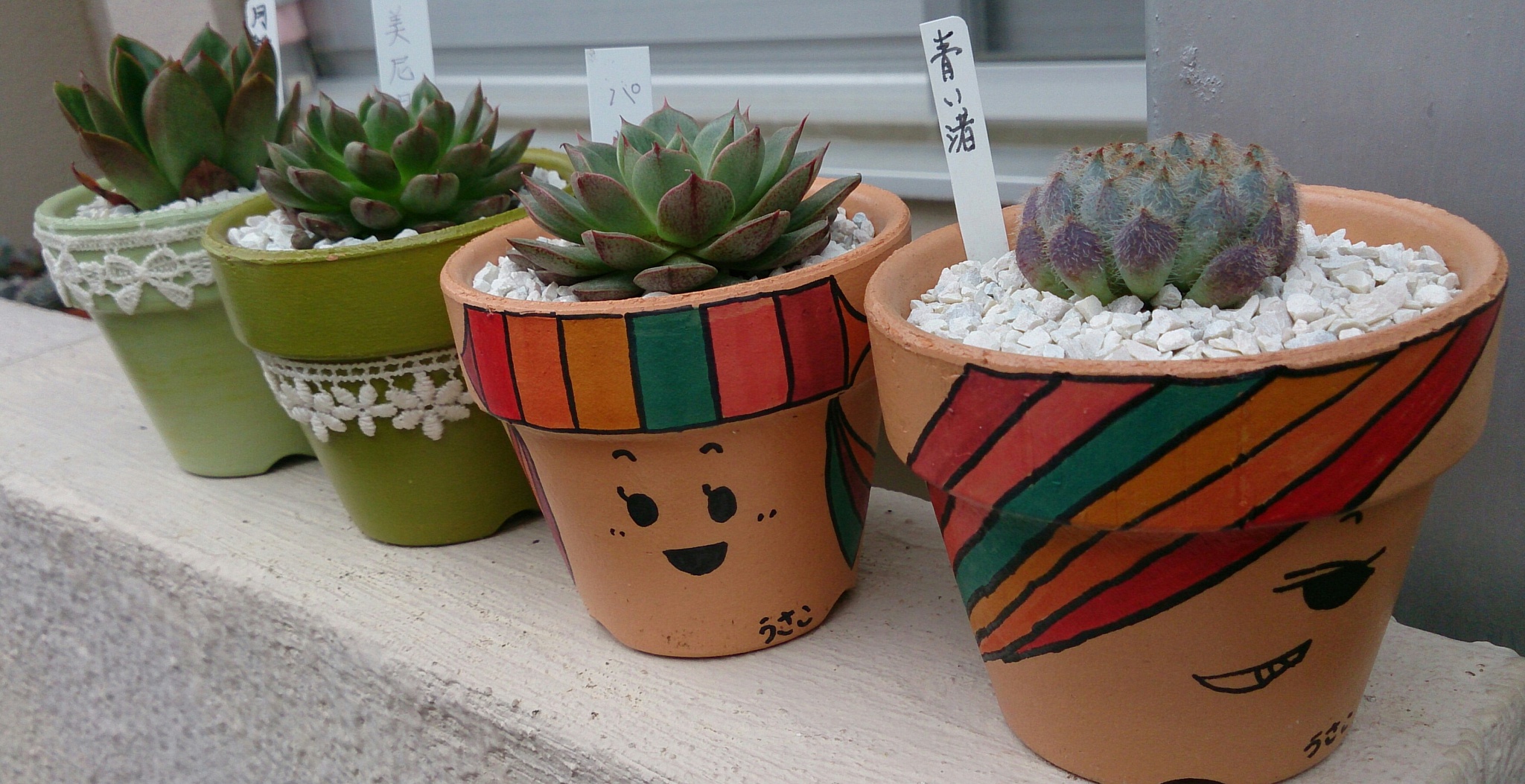 春の植替え祭り(^^♪ パートⅡ 春の植替え祭り(^^♪ パートⅡ