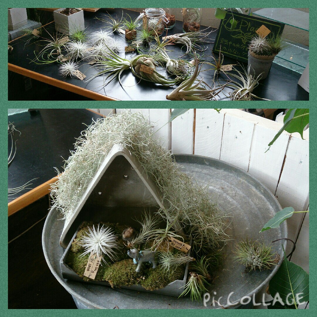 ゑんぴつ堂さんに行ってきた(^^♪七福神はこんな時期なのに…(^-^; ゑんぴつ堂さんに行ってきた(^^♪七福神はこんな時期なのに…(^-^;