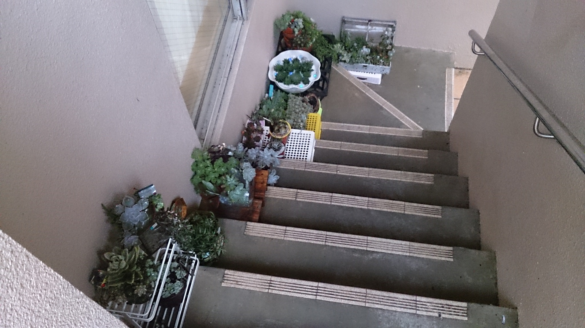 梅雨らしくなってきましたね(^-^; 梅雨らしくなってきましたね(^-^;
