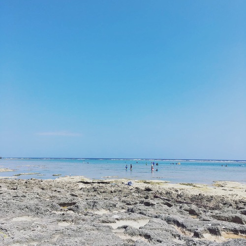 7月16日の記事 7月16日の記事