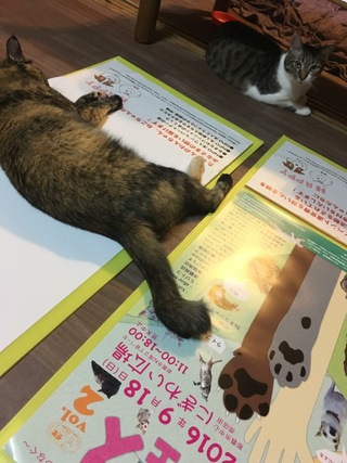 つなぐフェスvol.2 あらためておしらせです つなぐフェスvol.2 あらためておしらせです