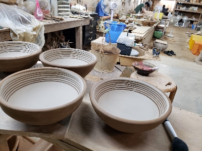 イジュの花がもうすぐ咲きそうですよー。 イジュの花がもうすぐ咲きそうですよー。