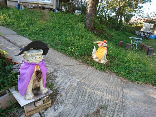 肌寒くなってきました。秋到来かな? 肌寒くなってきました。秋到来かな?