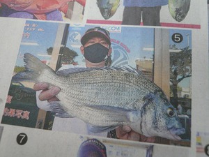 知花聖さん西崎海岸☆良型チヌ45,5㎝・1,5㎏好調釣果(^O^) 知花聖さん西崎海岸☆良型チヌ45,5㎝・1,5㎏好調釣果(^O^)