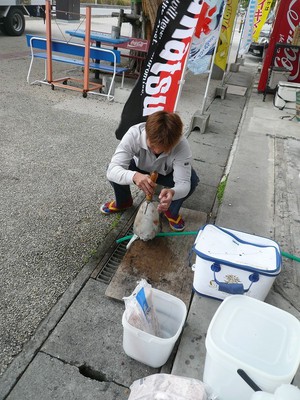 変なおじさんのエギング釣果・・アオリイカ1.8㎏UP(^O^)