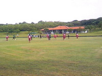 久々に…ブチッ！ 2008/08/10 12:20:28