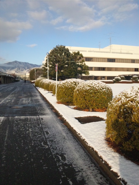 雪風景