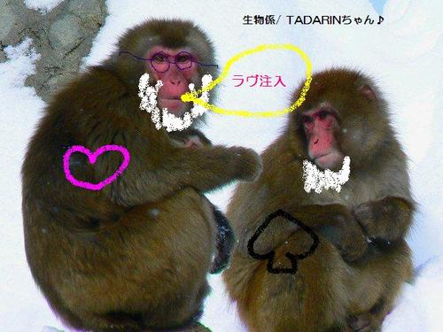 生物係