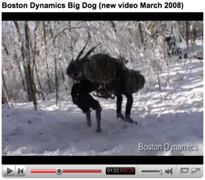 Big Dog