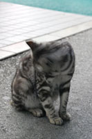 おっともうこんな時間だ