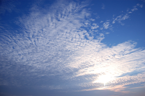 本日の空