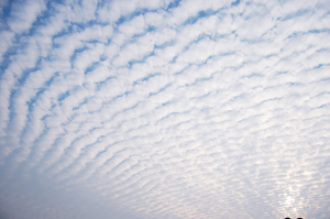 本日の空