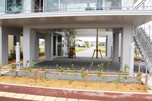 完成住宅見学