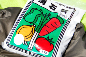 本日は晴天なり