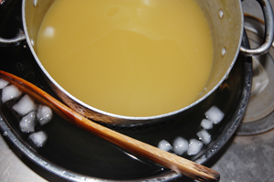 果実酒(泡盛ver.)作ってみた
