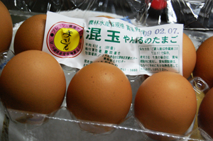 本日のはい菜!やんばる市場